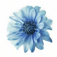 azul flor aislado en blanco fondo, png con transparencia , generar ai foto