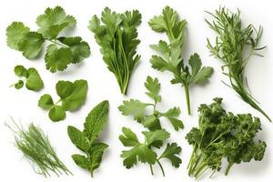 Collection of fresh herb leaves. arugula Spices, herbs on isolated on white background, generate ai photo