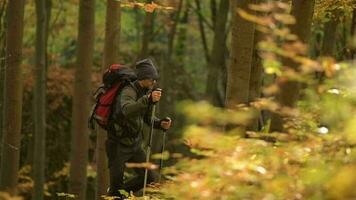 Hiker with Backpack Walking in the Forest in Slow Motion Footage. video