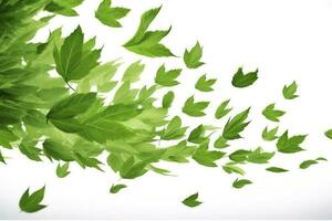 Green basil leaves with Clipping paths, full depth of field. Fresh red basil herb leaves isolated on white background. Purple Dark Opal Basil. Focus stacking, generate ai photo