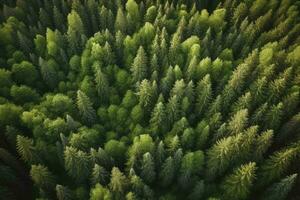 Aerial top view of summer green trees in forest in rural Finland, generate ai photo