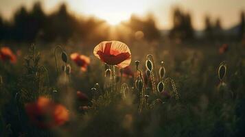 A stunning photo captures the golden hour in a field of radiant red poppies, symbolizing the beauty, resilience, and strength of nature, generate ai