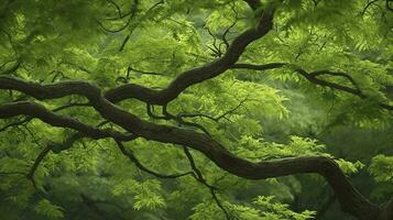 tierra día y mundo ambiente día, primavera, tropical árbol hojas y rama con hermosa verde bosque fondo, generar ai foto