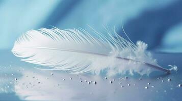 a bright blue background with one white feather, in the style of soft and dreamy pastels, glimmering light effects, nature inspired imagery, fairycore, soft focal points, generate ai photo