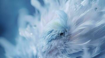 a bright blue background with one white feather, in the style of soft and dreamy pastels, glimmering light effects, nature inspired imagery, fairycore, soft focal points, generate ai photo