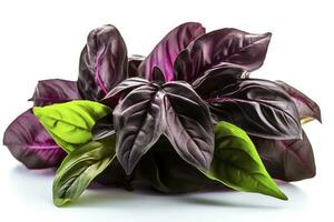 Green basil leaves with Clipping paths, full depth of field. Fresh red basil herb leaves isolated on white background. Purple Dark Opal Basil. Focus stacking, generate ai photo