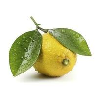 Citrus Lemon leaf with water drops isolated on white background, generate ai photo