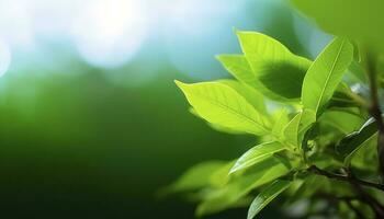 mundo ambiente día concepto, verde árbol hojas en borroso fondo, generar ai foto