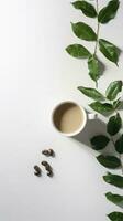 Aromatic herbs and coffee cup on white background with copy space. Coffee break concept. photo