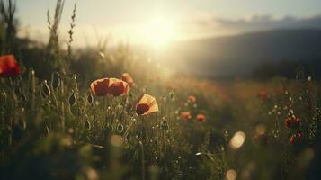 A stunning photo captures the golden hour in a field of radiant red poppies, symbolizing the beauty, resilience, and strength of nature, generate ai