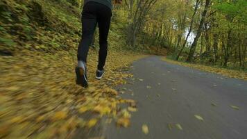 Jogging in the Park. Men Running on the Paved Road. Scenic Fall Foliage. video