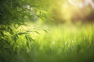 natural verde desenfocado primavera verano borroso antecedentes con luz solar. jugoso joven césped y follaje en naturaleza en rayos de luz de sol, escénico enmarcado, Copiar espacio foto