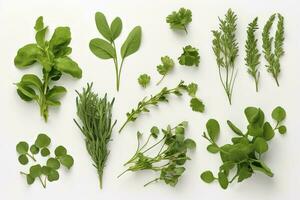 Collection of fresh herb leaves. arugula Spices, herbs on isolated on white background, generate ai photo