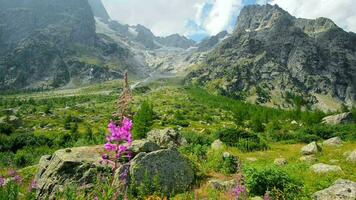 italiano Alpes cênico montanhas alcance video