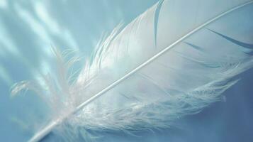 a bright blue background with one white feather, in the style of soft and dreamy pastels, glimmering light effects, nature inspired imagery, fairycore, soft focal points, generate ai photo