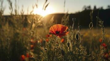 A stunning photo captures the golden hour in a field of radiant red poppies, symbolizing the beauty, resilience, and strength of nature, generate ai