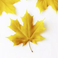 amarillo arce hoja hojas en blanco fondo, generar ai foto