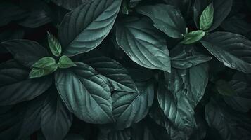 Abstract dark green surface of leaves natural floral background, generate ai photo