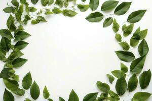 verde hojas en blanco antecedentes sano estilo de vida foto hermosa fondo de pantalla naturaleza concepto Arte ideas , generar ai