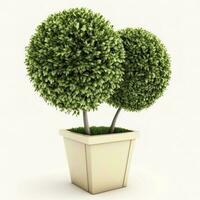 Topiary trees in the pot isolated on white background. 3D Rendering, 3D Illustration, generate ai photo