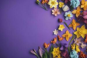 multicolor primavera flores en púrpura antecedentes , generar ai foto