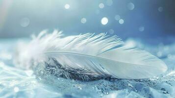 a bright blue background with one white feather, in the style of soft and dreamy pastels, glimmering light effects, nature inspired imagery, fairycore, soft focal points, generate ai photo