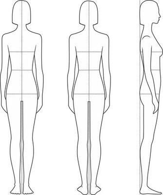 Women's figure. Body proportions for sewing clothing. Bust, waist