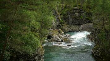 szenisch norwegisch Fluss und das Landschaft. video