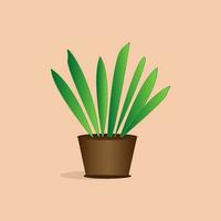 Home plant in the pot. Vector image. Simple and cute