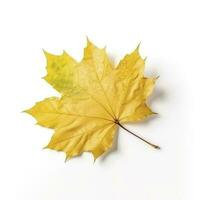 Autumn leave isolated on white background , generate ai photo