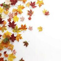 Autumn leaves isolated on white background , generate ai photo