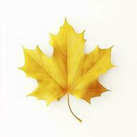 yellow maple leaf leaves on white background, generate ai photo