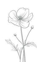 Poppy flowers in continuous line art drawing style. Doodle floral border with two flowers blooming among grass. Minimalist black linear design isolated on white background, generate ai photo