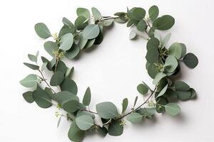 Wreath made of eucalyptus branches. Green floral frame made of eucalyptus leaves. Decorative wreath isolated on white. Minimal natural composition, botanical design, flat lay, top view. photo