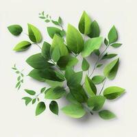 Collection of fresh herb leaves. arugula Spices, herbs on isolated on white background, generate ai photo