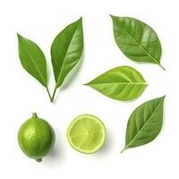 Fresh lemon with green leaves isolated on white background, generate ai photo