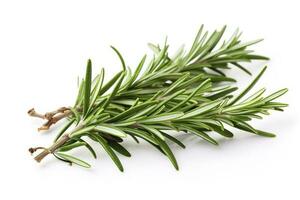 Fresh green organic rosemary leaves and peper isolated on white background, generate ai photo