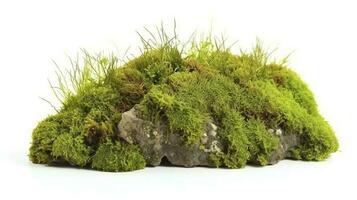 Green moss with grass isolated on white background, generate ai photo