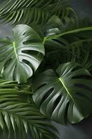 Tropical palm monstera leaves isolated on gray table background. , generate ai photo