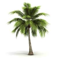 Coconut tree isolated on the white background, generate ai photo