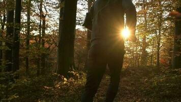 Wald Laufen während szenisch Sonnenuntergang. schleppend Bewegung Filmaufnahme. gesund Lebensstil Thema. video