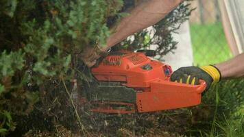 rimozione morto giardino alberi utilizzando motosega. lento movimento. video