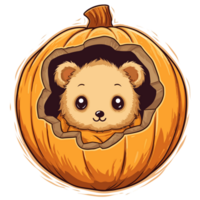 Teddy Bear Peeking Out From Halloween Pumpkin - png