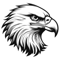 Eagle Face - png