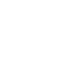 bellissimo orso silhouette png