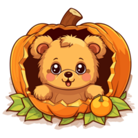 Teddy Bear Peeking Out From Halloween Pumpkin - png