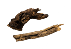 old wood and dead roots isolated png