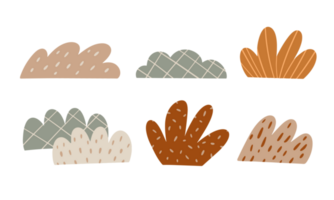 set of autumn grass hand drawn png