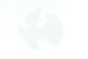 white foam bubble isolated png