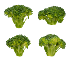 Set of broccoli isolated. Fresh vegetable element png